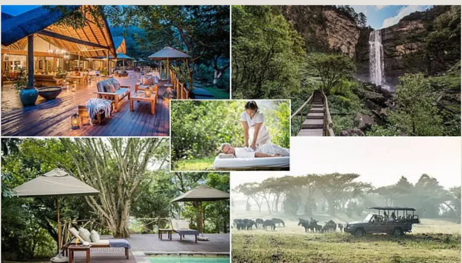 Anonymised wellness retreat collage showing forest, water and outdoor treatment