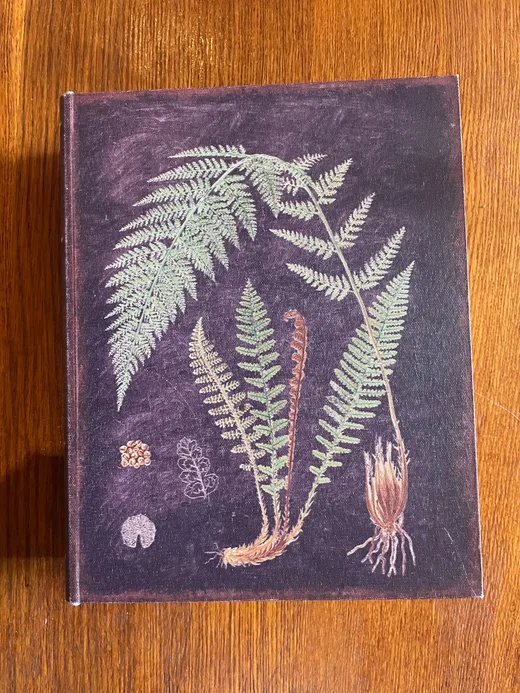 Botanical archive book illustrated with indigenous ferns